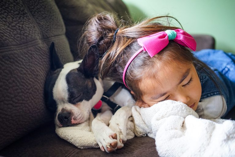 enfants et chiens